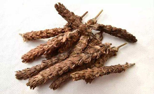 夏枯草