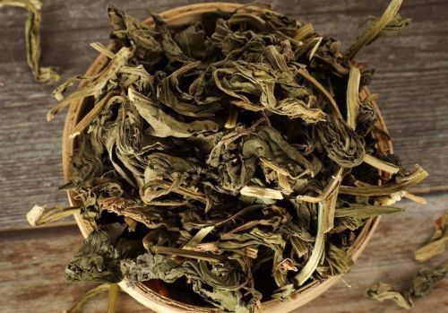 灵香草